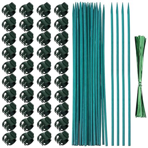Kit Di Supporto Per Piante - 38cm, 20 Pali, 40 Clip - Foto 1
