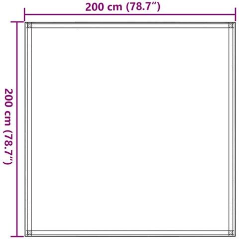 Tappeto da Tenda Verde Chiaro 200x200 cm HDPE - Foto 7