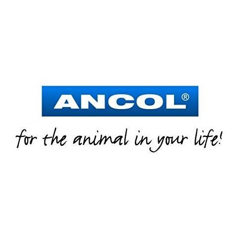 Ancol Nylon Piombo Accoppiatore, 24 Cm, Nero- - Foto 2