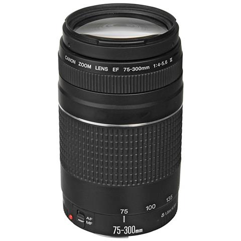 Obiettivo Zoom EF 75-300mm F / 4.0-5.6 III - Foto 6