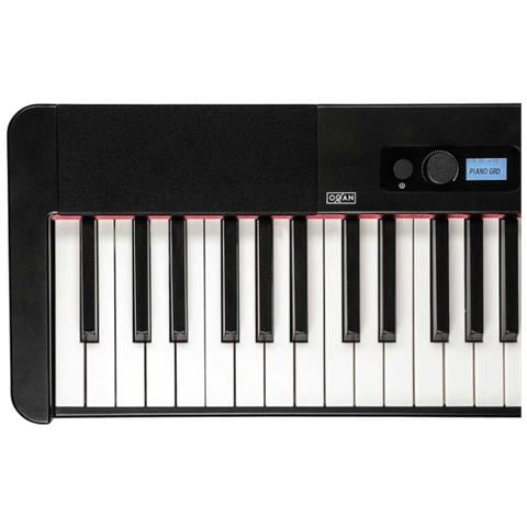 Pianoforte Digitale QP100 88 Tasti 169 Suoni - Foto 2