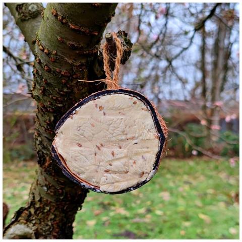 Cocco 0.18kg Con Mangime Per Uccelli Selvatici  Alimento Naturale - Foto 2