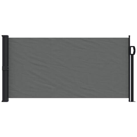 Tenda Da Sole Laterale Retrattile Antracite 100x500 Cm - Foto 3