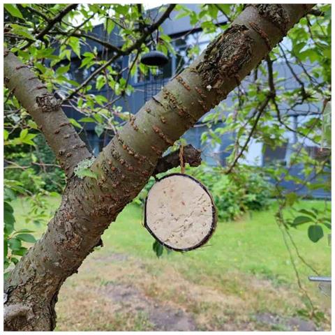 Mangime Uccelli Selvatici  Mezza Noce Di Cocco Con Arachidi  Cibo Per Uccelli - Foto 2