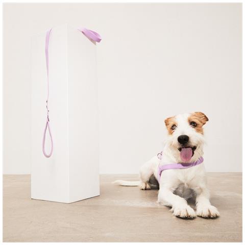 Pettorina Per Cani Lilla - M - Foto 3