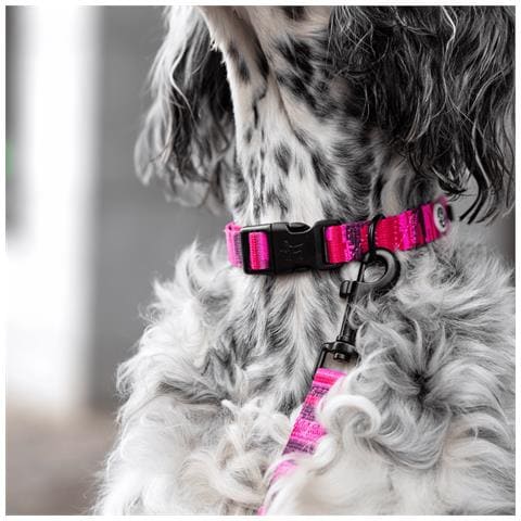 Collare Per Cani Mimetico Rosa - S - Foto 2