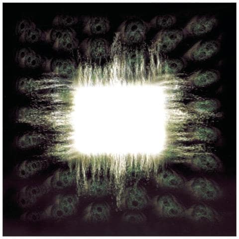 Tool - Aenima - Foto 1