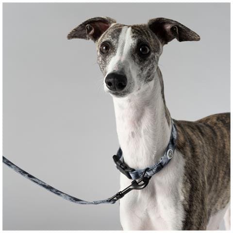 Collare Per Cani Nero Tie-dye - M - Foto 3