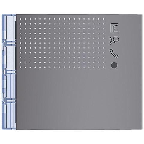 Frontale Modulo Fonico Evoluto Finitura Allstreet - Foto 1