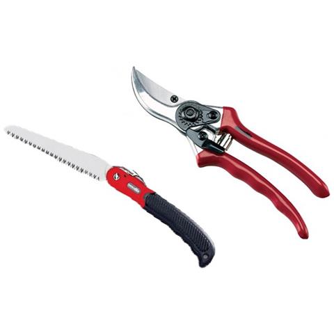 Blister Forbice E Seghetto Da Potatura Per Vigna - Foto 1