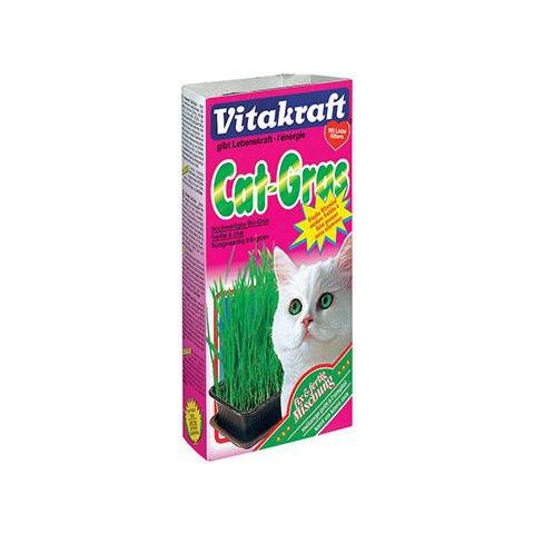 Cat Grass Erba Per Gatti - Foto 1