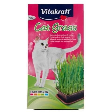 Cat Grass Erba Per Gatti - Foto 2