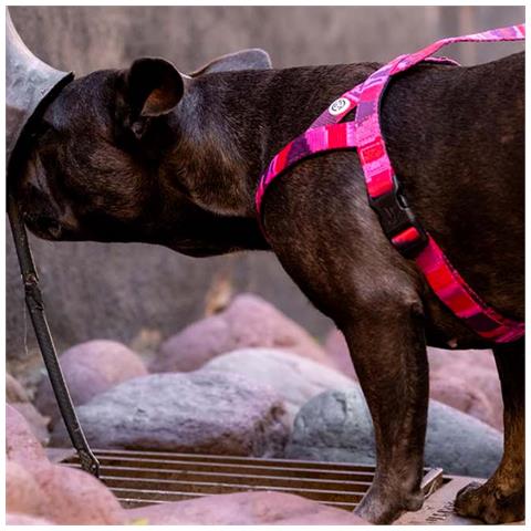Pettorina Per Cani Mimetica Rosa - S - Foto 3