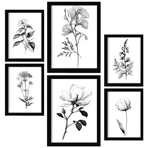 Set Di 6 Stampe Rigogliosa Natura Floreale E Stampe Botaniche Con Motivi Floreali In Un Classico Design D'interni In Bianco E Nero A3 & A4 Cornice Nera - Foto 1