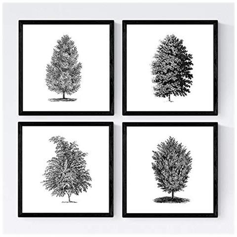 Set Di 4 Stampe Fogli Di Alberi. Alberi Molto Ben Taglia , Carta Poster Sfondo Bianco 250 Gr E Inchiostri Di Alta Qualità Senza Cornice 20x20 Cm - Foto 1