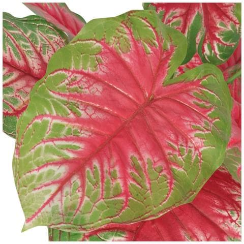 Caladio Pianta Artificiale con Vaso 85 cm Verde e Rosso - Foto 2