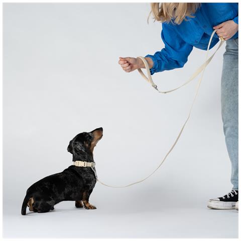 Guinzaglio Per Cani Di Sabbia - Foto 2