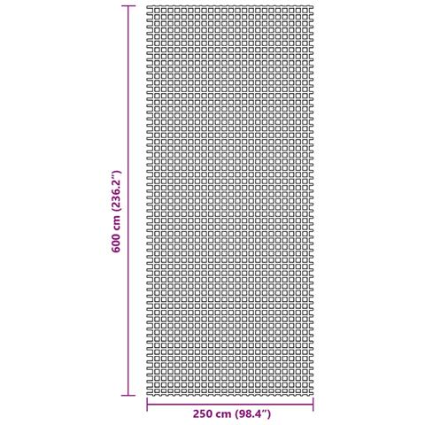 Tappeto da Tenda Blu 6x2,5 m - Foto 7