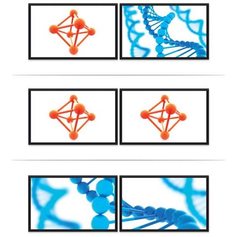 Adattatore Splitter MST Hub - DisplayPort a 2 porte DisplayPort - Foto 6