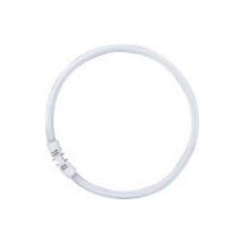 LUMILUX 22W 2GX13 A Bianco freddo lampada fluorescente - Foto 1