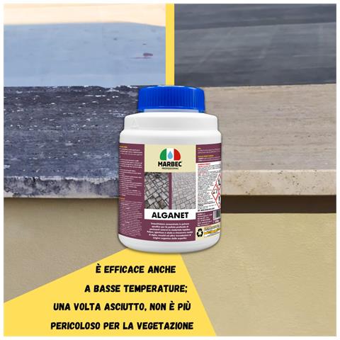 Alganet 800gr + Tampone Marrone - Pulizia Pavimenti Esterni - Foto 2