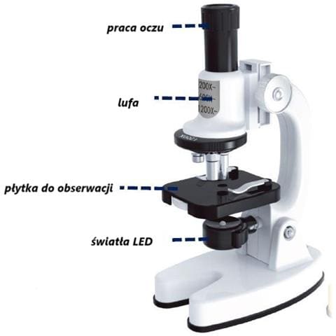 Microscopio educativo per bambini, ingrandimento fino a 1200x, kit scientifico regalo - Foto 2
