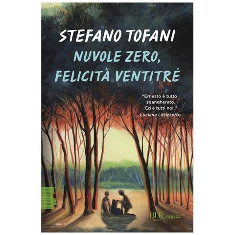 Stefano Tofani - Nuvole Zero, Felicità Ventitré - Foto 2