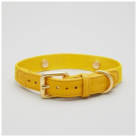 Collare Per Cani Giallo - Xs - Foto 1