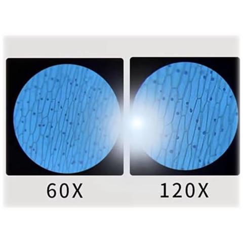 Microscopio educativo portatile per bambini, regalo scientifico - Foto 4