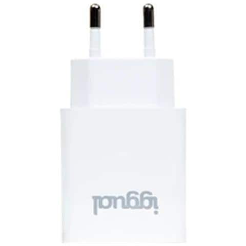 Caricabatterie Rapido Da Muro Usb Pd Tipo C 30w - Foto 1