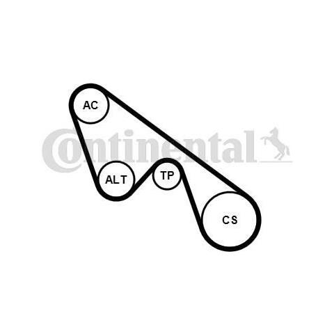 Kit Cinghie 5pk1150k1 - Foto 1