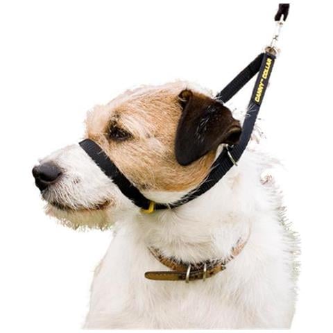 Canny Collar Collare Per Addestrare Il Cane - Evita Che Tiri Durante Il Cammino Nero Taglia 2: 28cm - 33cm - Foto 2