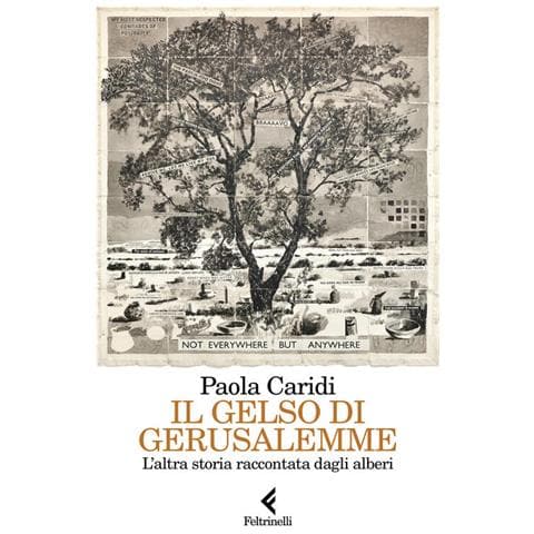 Il Gelso Di Gerusalemme. L'altra Storia Raccontata Dagli Alberi - Foto 1
