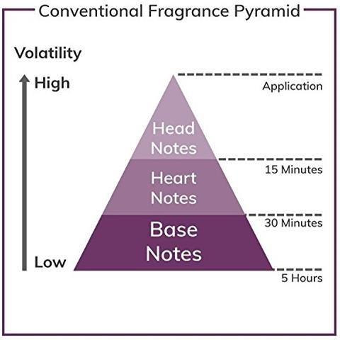 Safari By Eau De Toilette Spray 4.2 Oz / 125 Ml (men)  - Foto 2