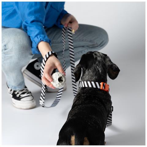 Collare Per Cani Zebra - L - Foto 2