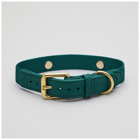 Collare Per Cani Verde - S - Foto 1