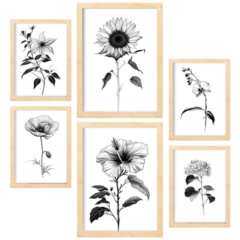 Set Di 6 Stampe Stampe Floreali Luminose E Botaniche Con Motivi Floreali Nei Classici Bianco E Nero A3 & A4 Telaio In Legno Chiaro - Foto 1