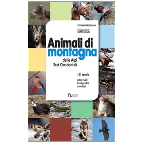 Animali di montagna delle Alpi sud occidentali - Foto 1