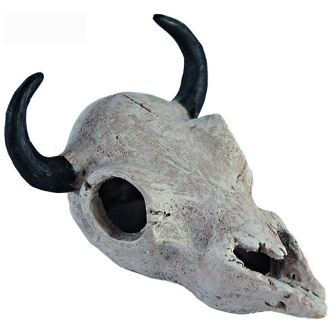 Buffalo Skull Carcassa Buffalo Per Rettili Marvellous Decor - Foto 1