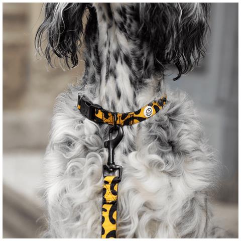 Collare Per Cani Leone - S - Foto 3