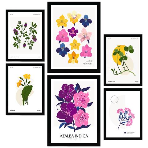 Set Di 6 Stampe Fiori Scala Cromatica Stampe Naturali E Botaniche Per L'interior Design A3 & A4 Cornice Nera - Foto 1