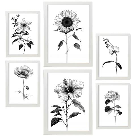 Set Di 6 Stampe Stampe Floreali Luminose E Botaniche Con Motivi Floreali In Un Classico Design D'interni In Bianco E Nero A3 & A4 Cornice Bianca - Foto 1