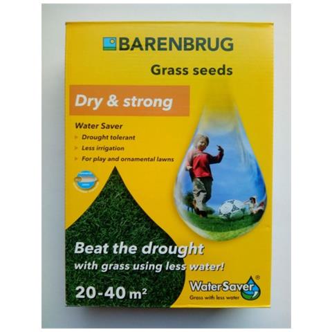 Sementi Prato Water Saver, 1 Kg - Foto 1