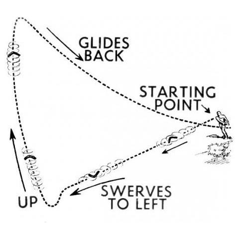 Boomerang Pegasus 25 Cm Polipropilene Giallo - Foto 3