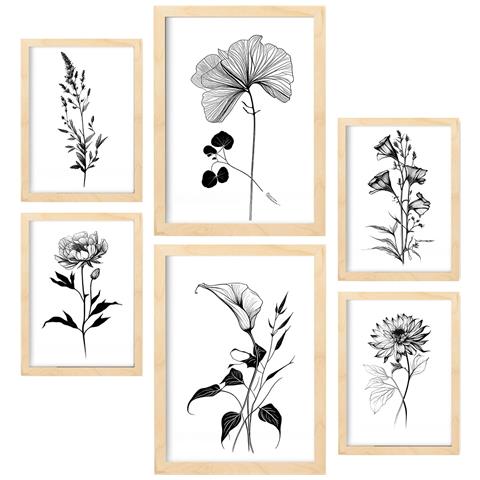 Set Di 6 Stampe Stampe Floreali E Botaniche Con Motivi Floreali In Bianco E Nero Classico A3 & A4 Telaio In Legno Chiaro - Foto 1