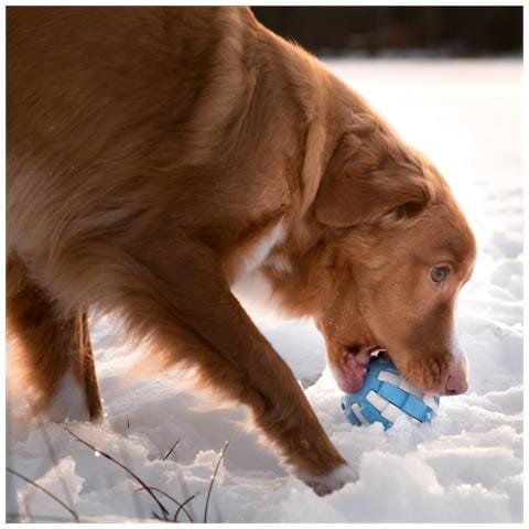 Trattare La Palla - Foto 3