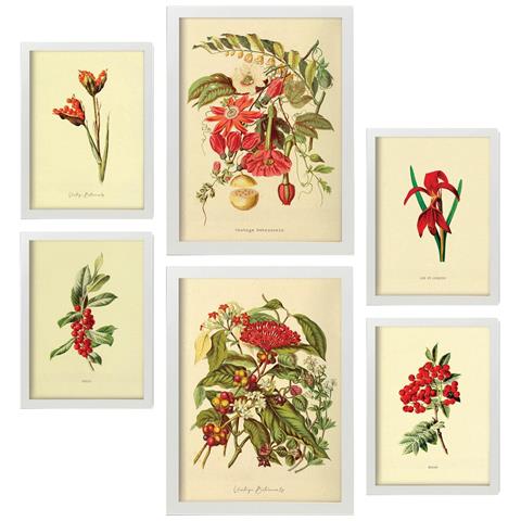 Set Di 6 Stampe Fiori Rossi In Stampe Vintage, Dipinti Decorativi Estetici Per Il Tuo Soggiorno, Camera Da Letto, Casa A3 & A4 Cornice Bianca - Foto 1
