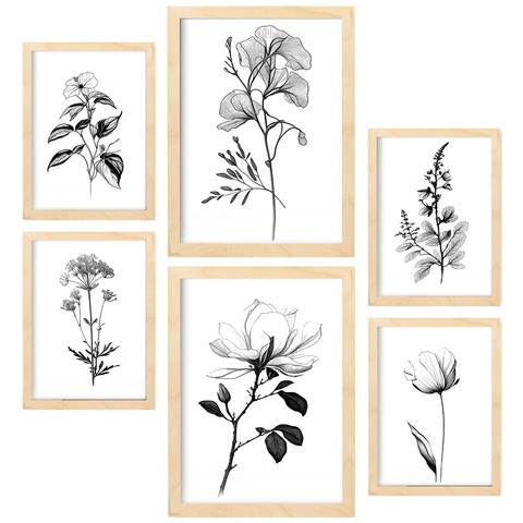 Set Di 6 Stampe Rigogliosa Natura Floreale E Stampe Botaniche Con Motivi Floreali Nei Classici Bianco E Nero A3 & A4 Telaio In Legno Chiaro - Foto 1