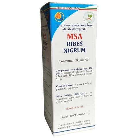 Msa Ribes Nigrum 100 ml - Foto 1
