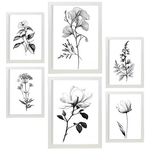 Set Di 6 Stampe Rigogliosa Natura Floreale E Stampe Botaniche Con Motivi Floreali In Un Classico Design D'interni In Bianco E Nero A3 & A4 Cornice Bianca - Foto 1